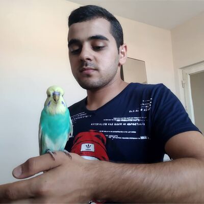  ,   Alijon, 25 ,   ,   
