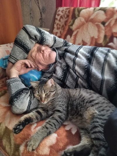  ,   , 43 ,   ,   