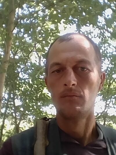  ,   , 41 ,  