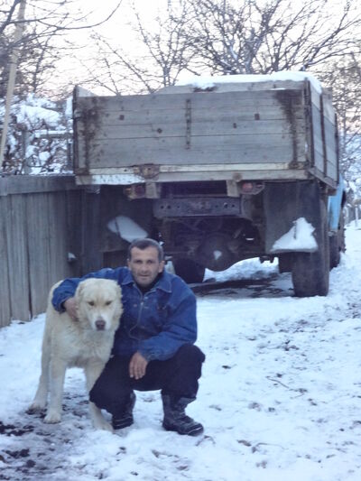  ,   Tazo, 52 ,   