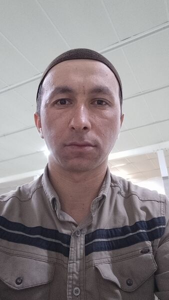  -,   , 29 ,   ,   