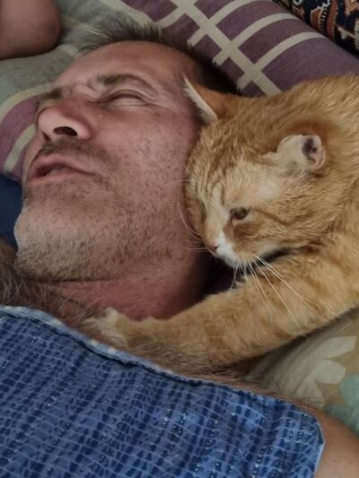  Hadera,   , 51 ,   c 