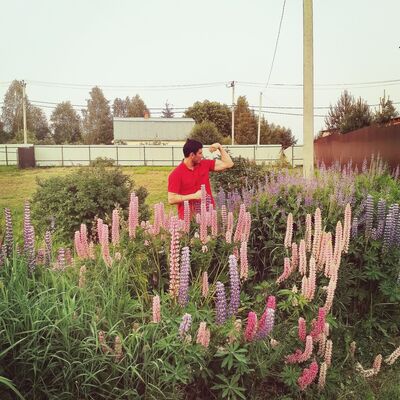  ,   Abdullo, 31 ,   ,   , c 