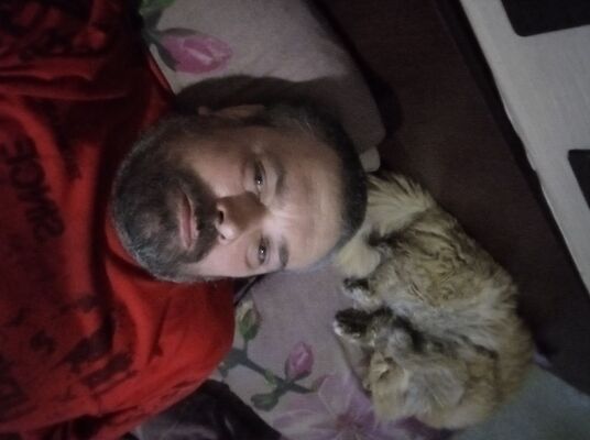  ,   , 45 ,  