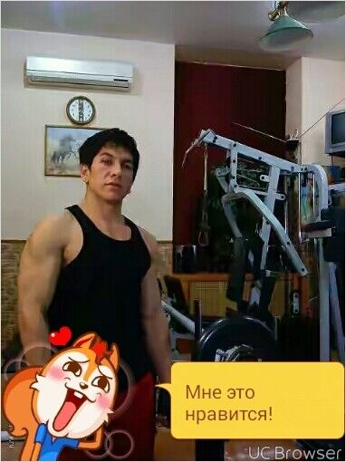  9288786  , 41 ,    