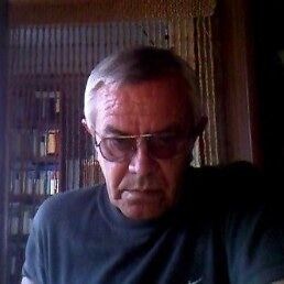  ,   , 62 ,   