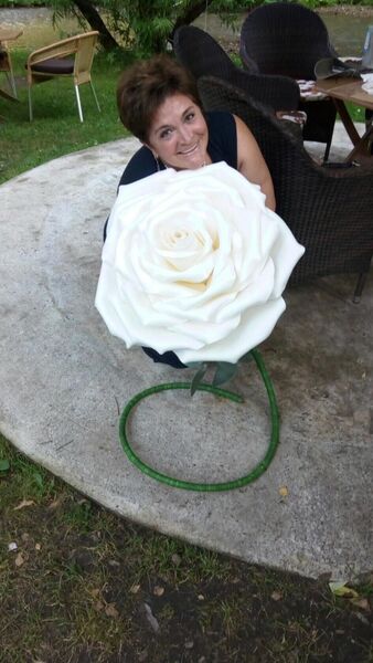  ,   , 59 ,  