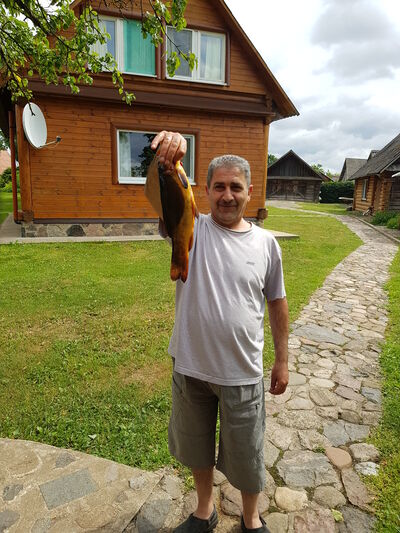 ,   , 54 ,   ,   