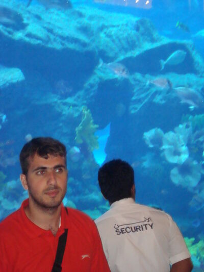  ,   Swift, 43 ,   ,   , c 
