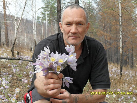   ,   , 65 ,   
