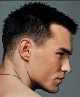  ,   Timur, 40 ,   ,   , c 