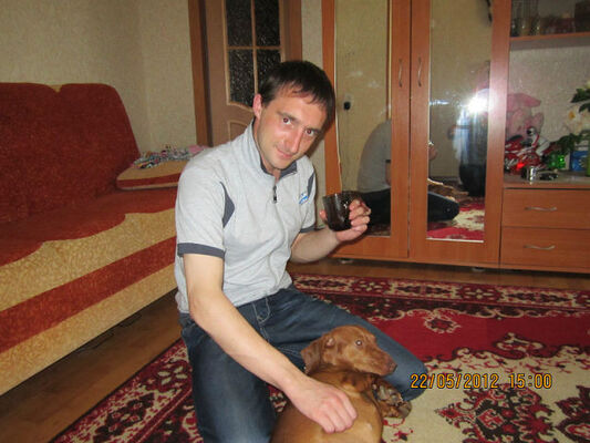  ,   , 41 ,   