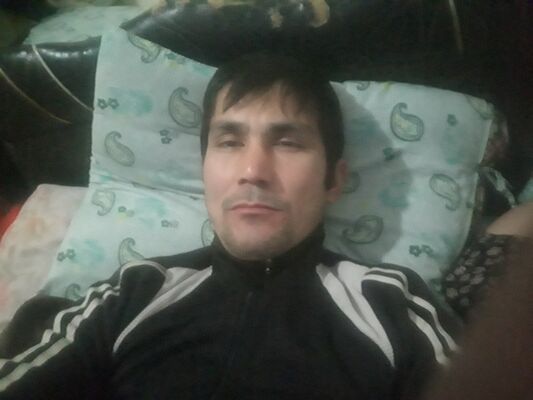  ,   Kobil, 43 ,   ,   , c 