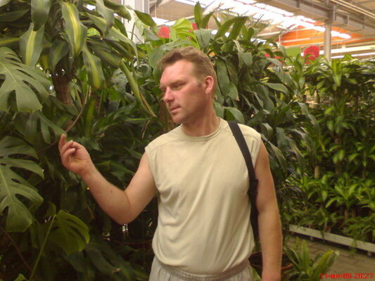   ,   , 46 ,   