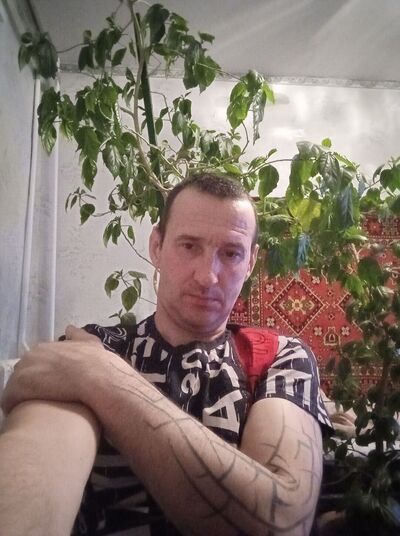  ,   , 46 ,   ,   