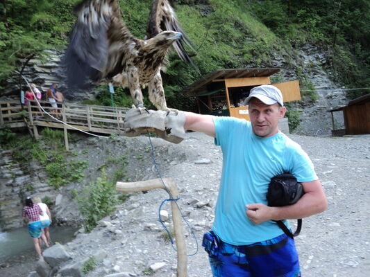  ,   , 59 ,   ,   , c 