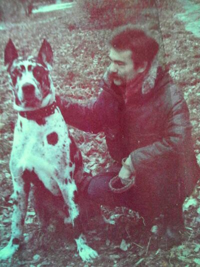  ,   , 95 ,  