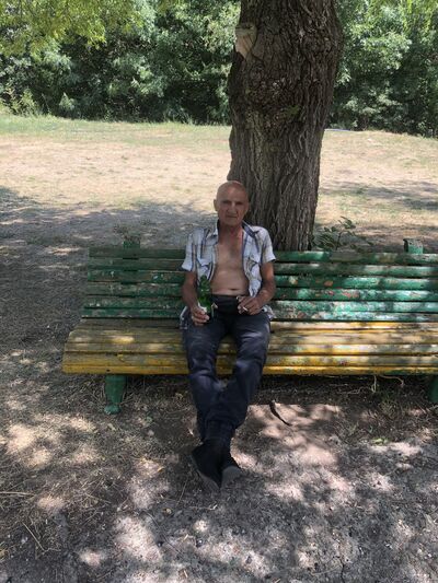  ,   Ara, 53 ,   ,   