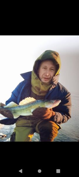  ,   , 54 ,   ,   