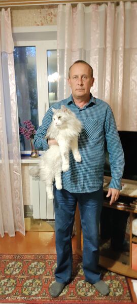  ,   , 56 ,   c 