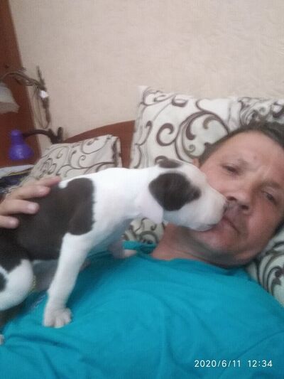  Warszawa,   , 44 ,   ,   