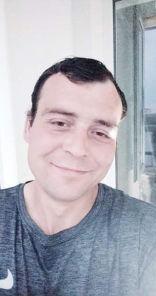 ,   Vitek, 37 ,   ,   , c 