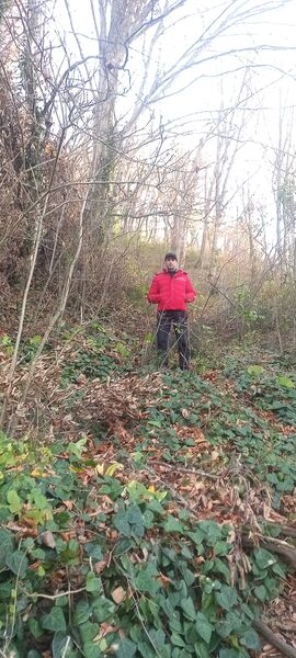  ,   Roma, 42 ,   ,   , c 