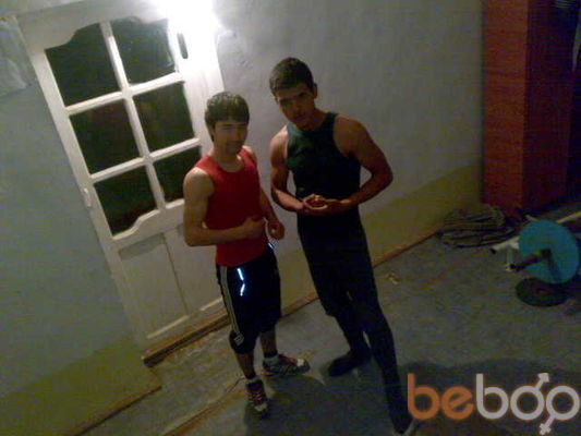  ,   Bosss, 31 ,   ,   , c 