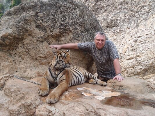  ,   , 56 ,   ,   , c , 