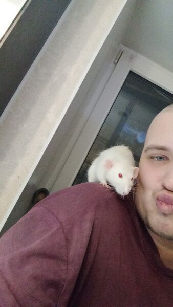  ,   Ivan, 26 ,   