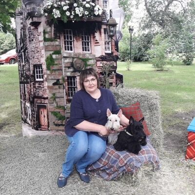  ,   , 54 ,   ,   