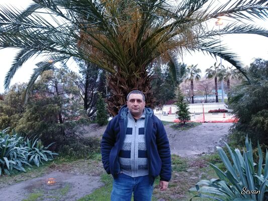 ,   Ars, 43 ,   ,   