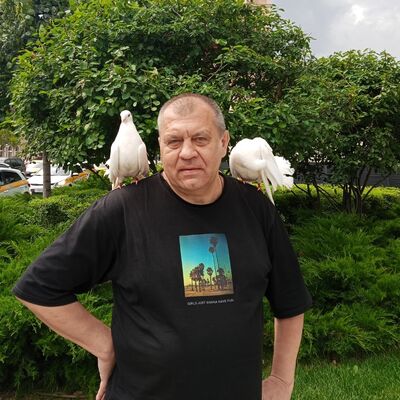  ,   , 58 ,  