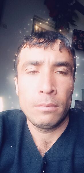  ,   Umid, 31 ,   ,   