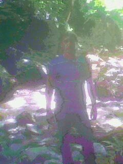  ,   , 53 ,   