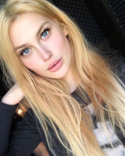  --,   , 29 ,   , 