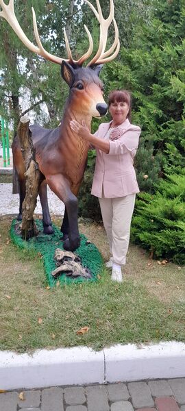  ,   , 66 ,   ,   , c , 