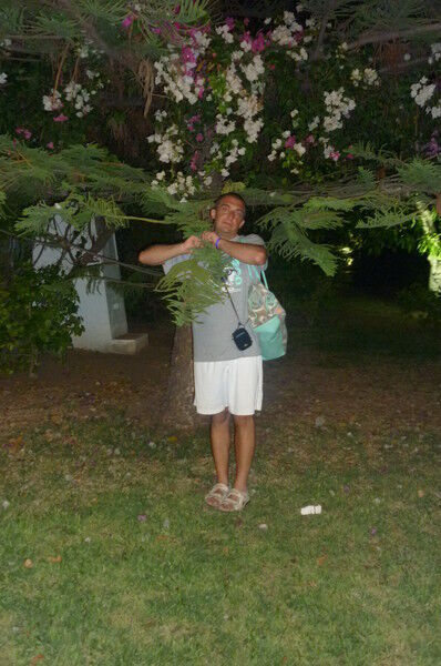 ���������� ������ ��������, ���� ������� PARDI2526, 51 ���, ������������ ��� ������, ����� � ���������, c�������� ���������