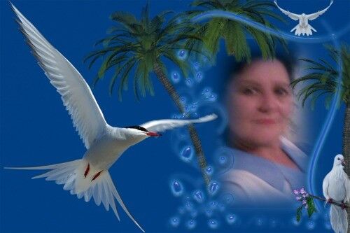 ���������� ��������, ���� ������� �����, 61 ���, ������������ ��� ������, ����� � ���������, c�������� ���������