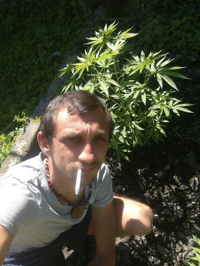  ,   Grigori, 34 ,   ,   , c 
