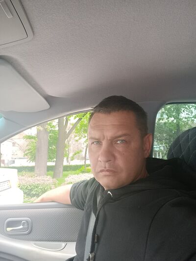  ,   ˸, 41 ,   ,   