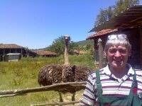  ,   Stoyan, 65 ,   ,   , c 