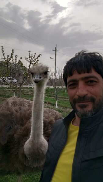  ,   ARTAK, 47 ,   ,   