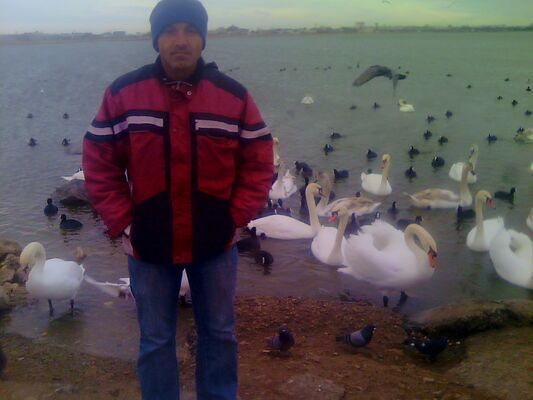  ,   , 53 ,   ,   , c 