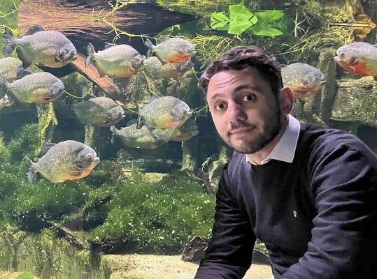  ,   Alex, 38 ,     , c 