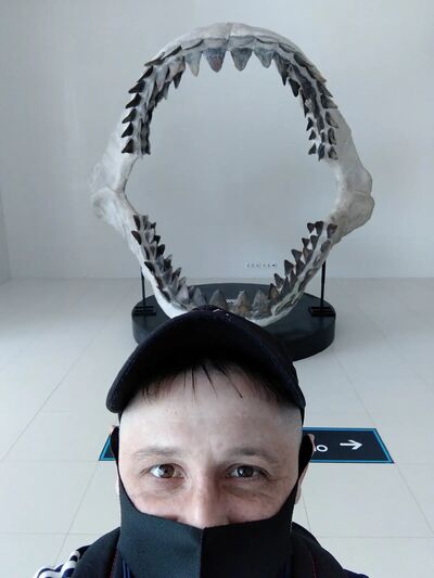  ,   , 43 ,   ,   