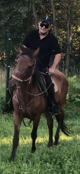  ,   Romantic, 43 ,   ,   