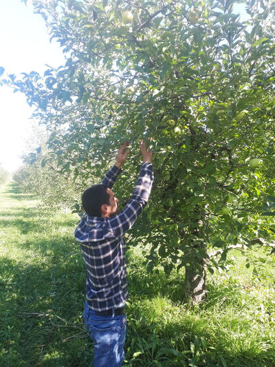  ,   Elnur, 38 ,   ,   , c 