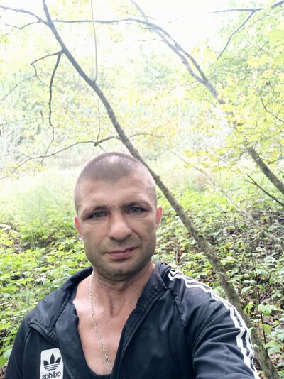  ,   , 43 ,  