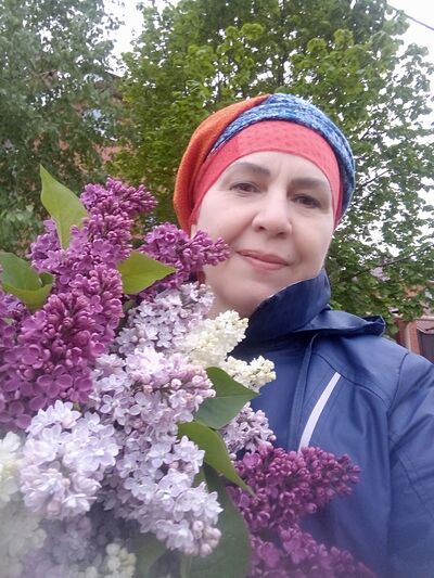  --,   , 65 ,   